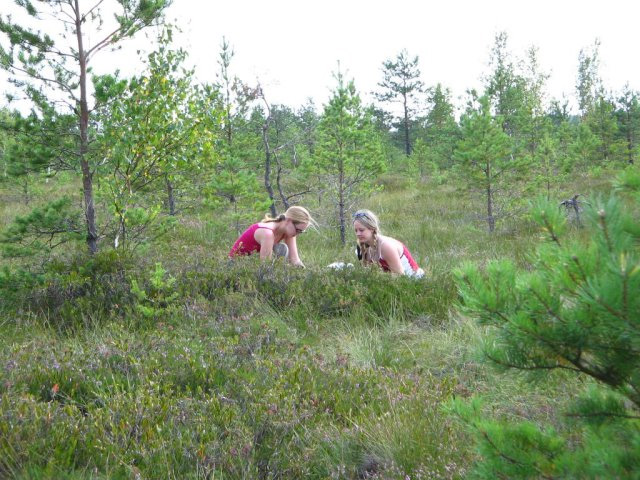 na Dubatovke 2005.jpg