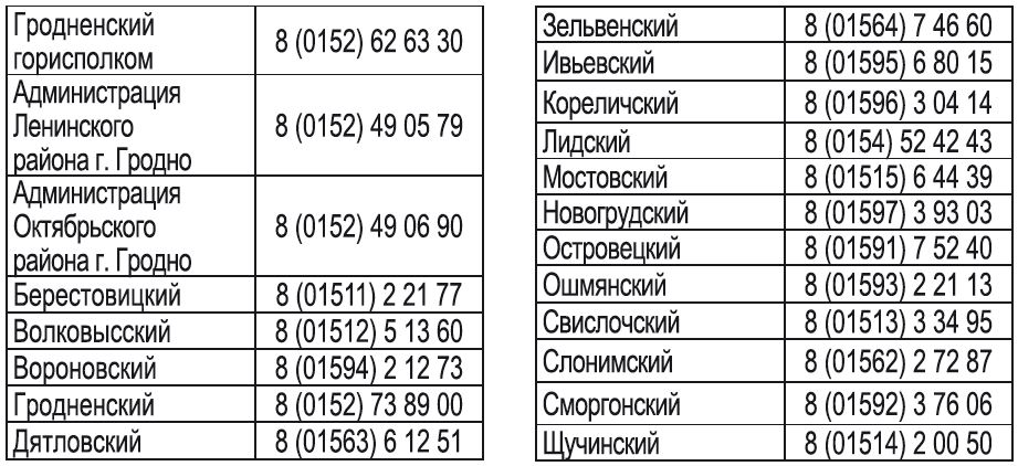 лин.JPG