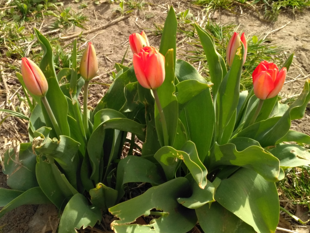 IMG_20190418_153402.jpg