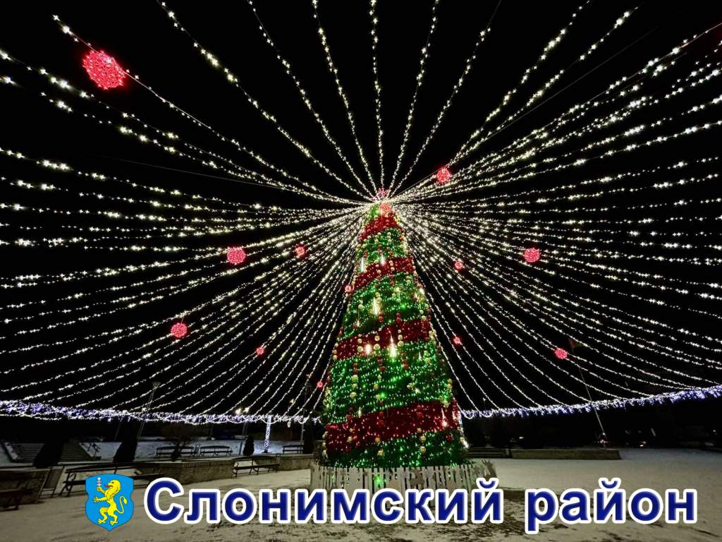 Слоним ночь_.jpg