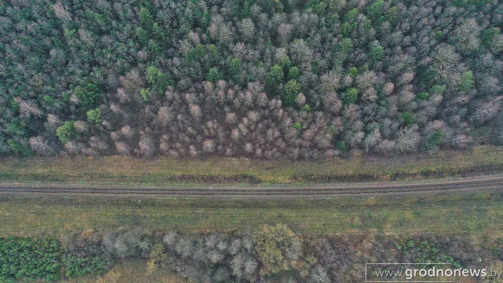 DJI_0395.JPG