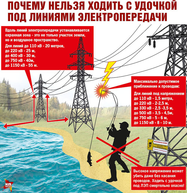 инфографика.jpg