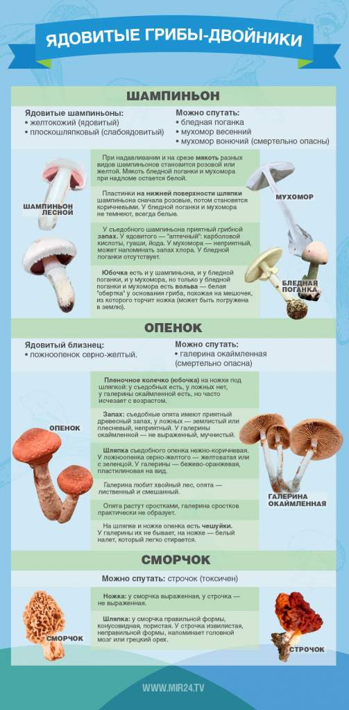 8e25effd147f7d292ea17eae7ce1ead2d6a1596f0bf559d73252560d809a5a32.jpg