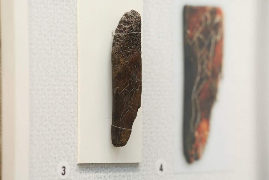 foto_7_be6c6d8f6b.jpg