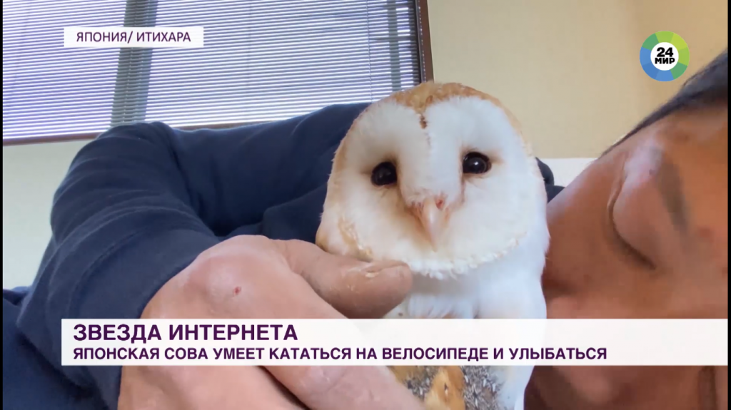 е.png