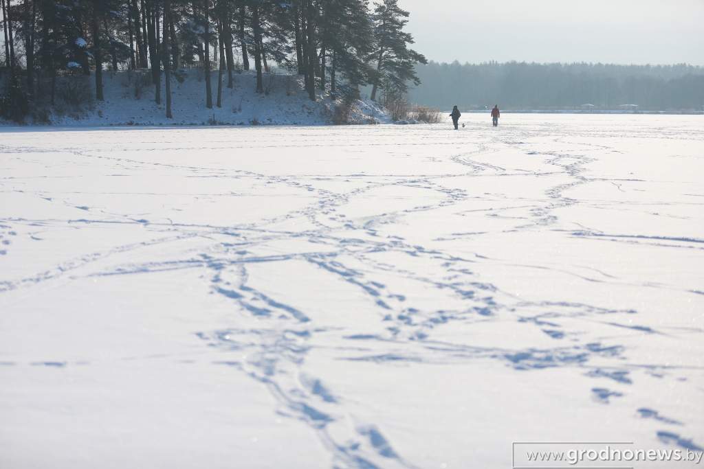 2021-01-17 15.04.06.JPG