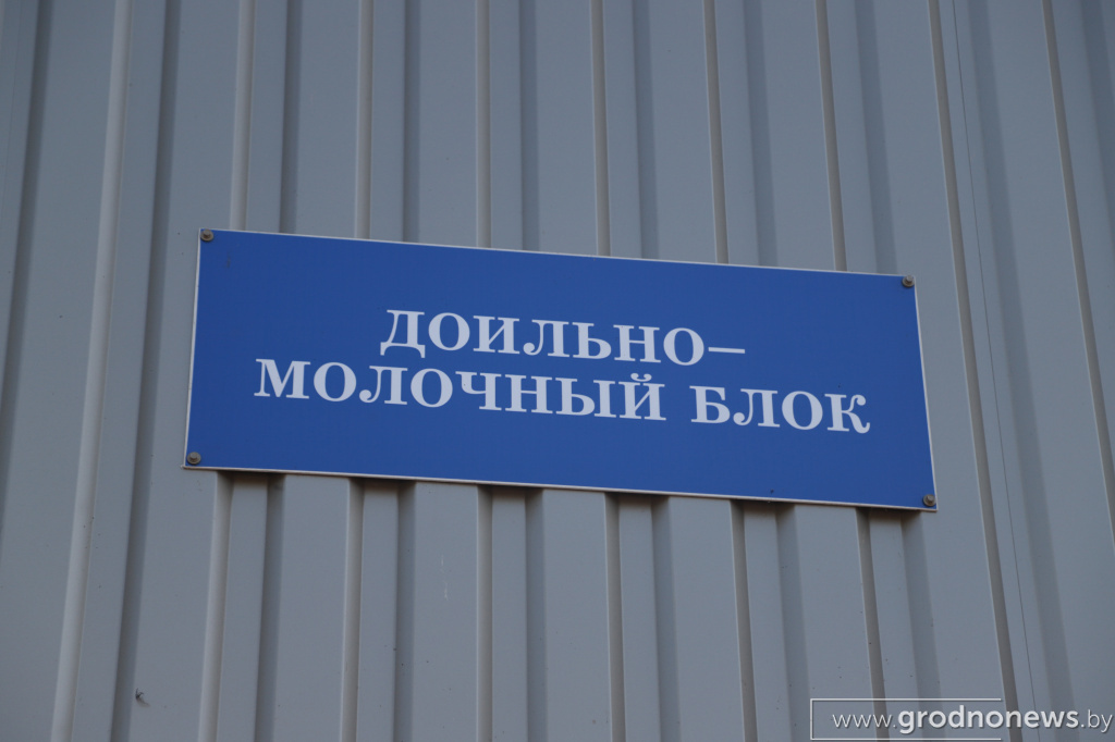 20190826-IMG_3762.jpg