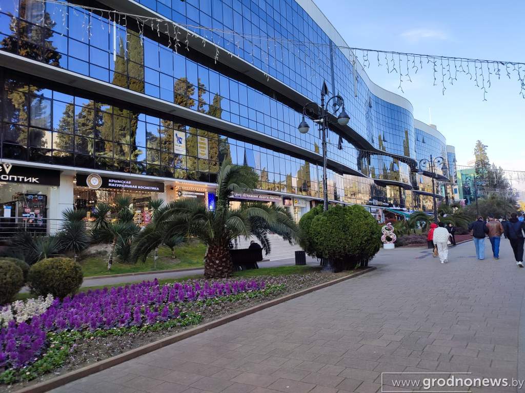 1774799888590.jpg