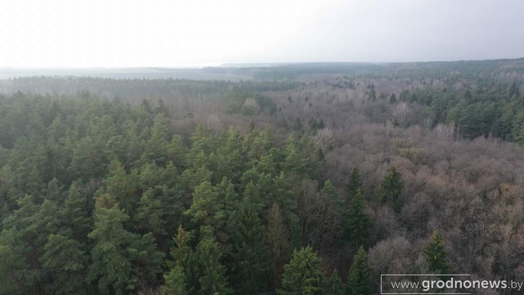 DJI_0390.JPG