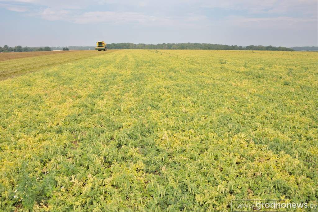 2021-07-13 10.08.38.JPG