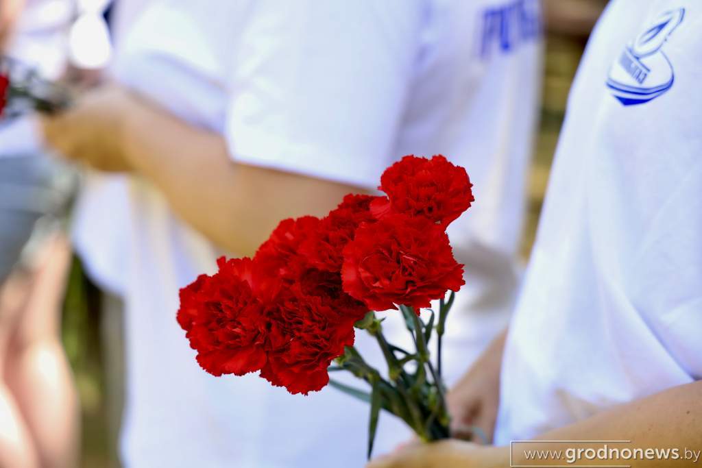 IMG_9021.JPG