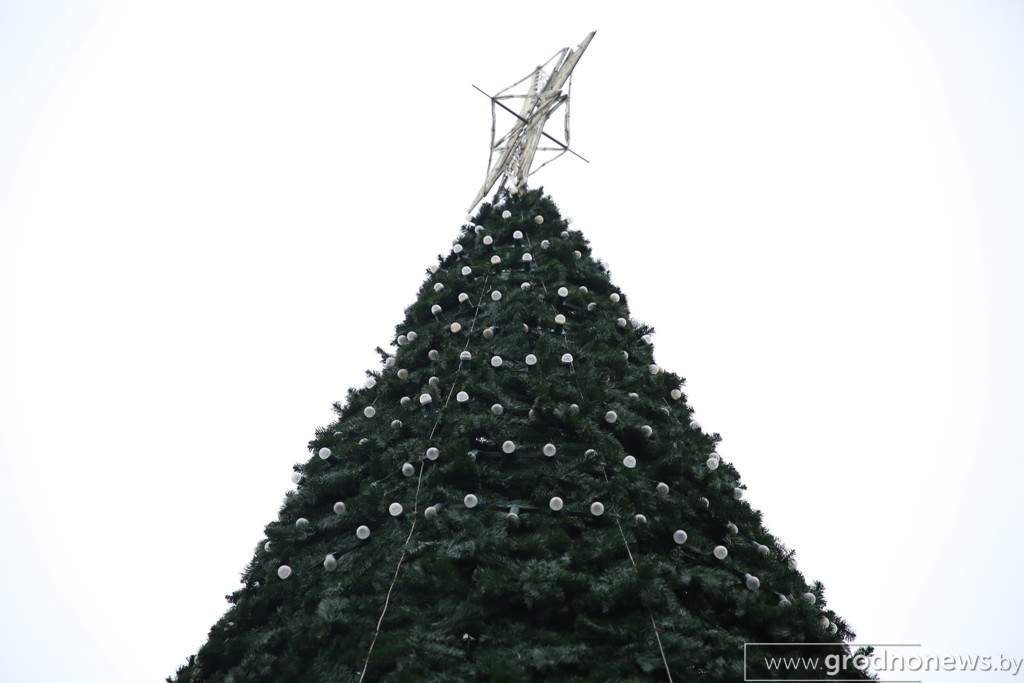 2020-11-25 12.04.03.JPG