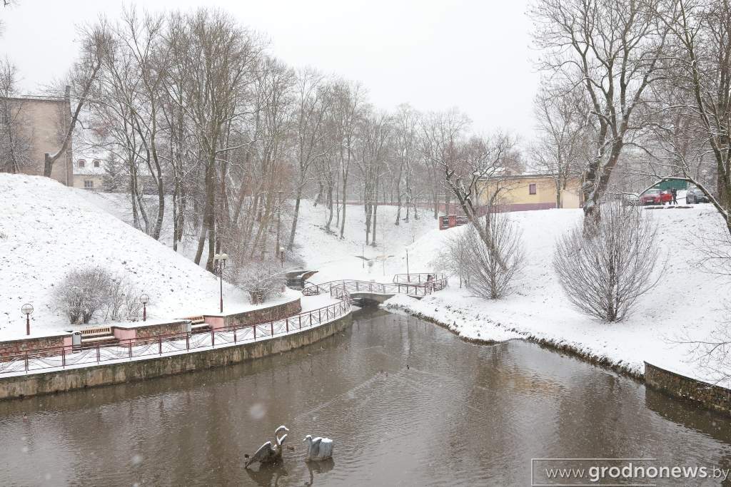 2021-01-06 12.34.19.JPG