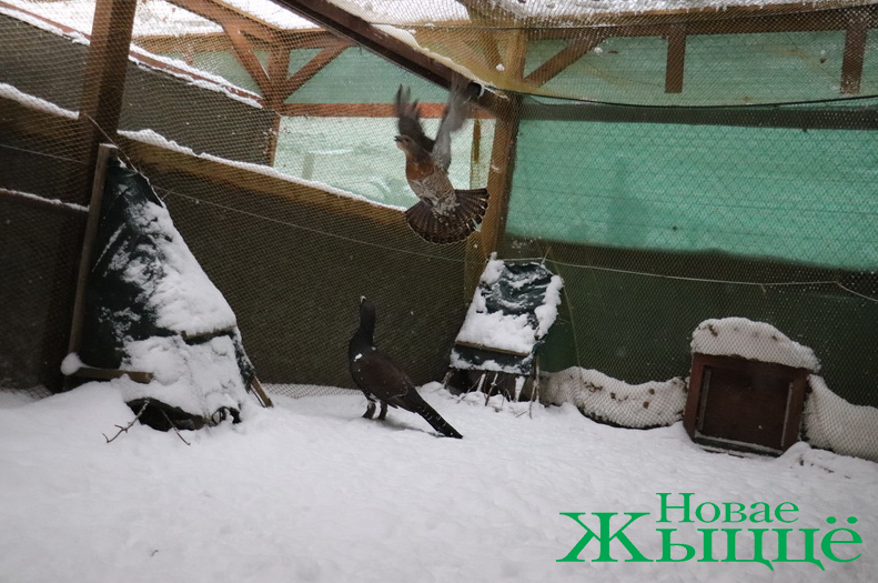 после вт абз.png