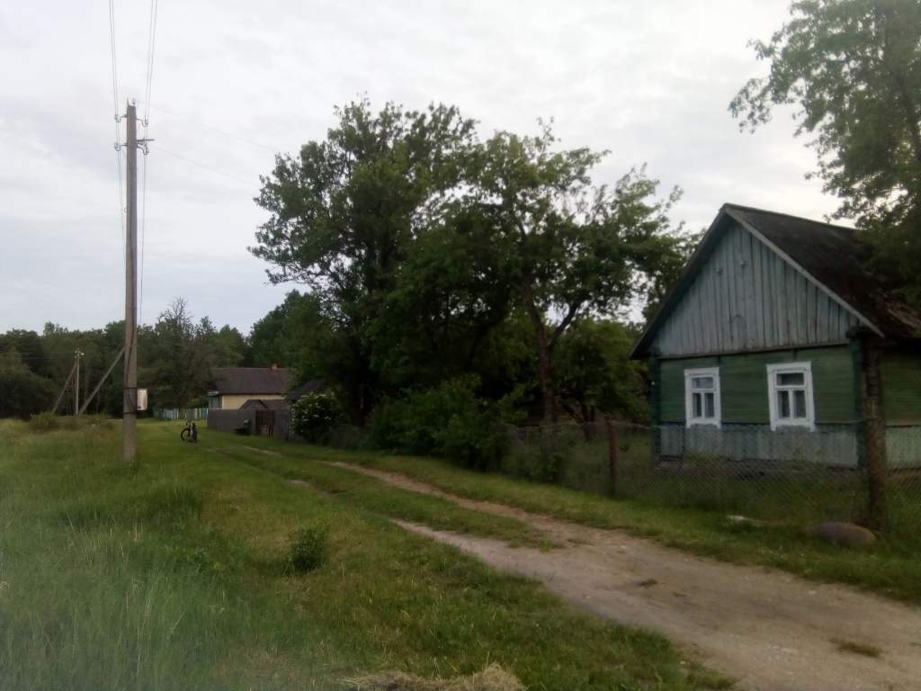 Заводный Лес (6).jpg