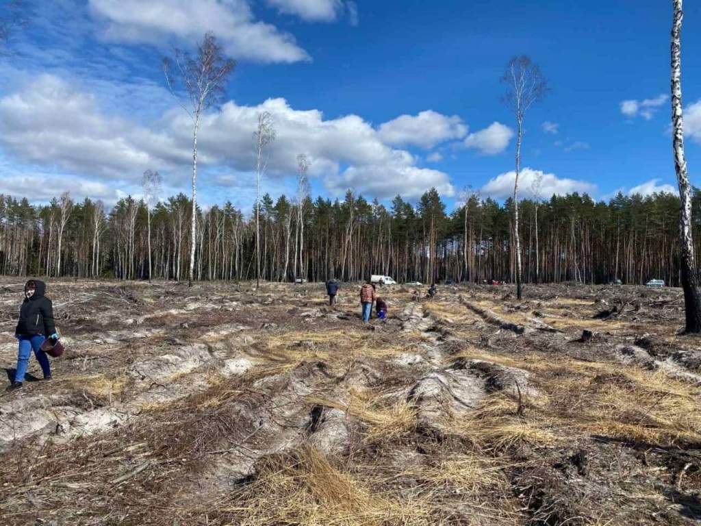 photo_2021-04-02_17-34-16 (3).jpg