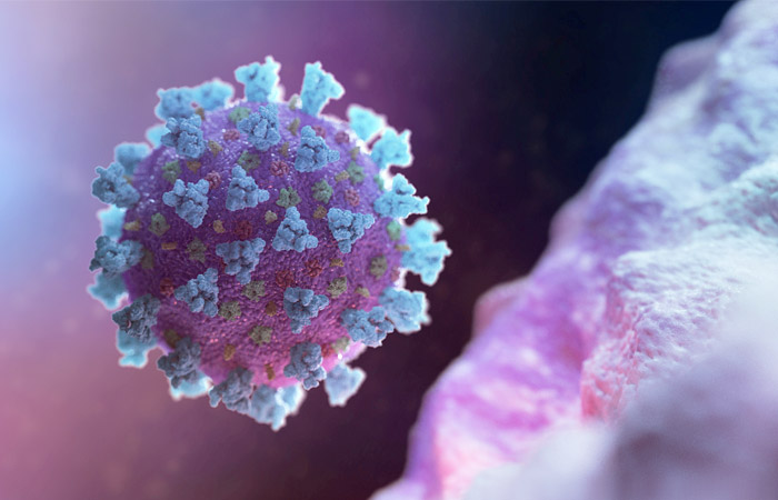 virus700.jpg