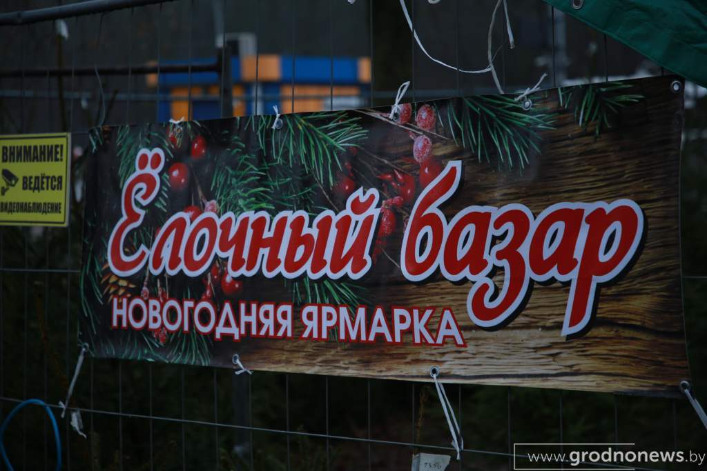 IMG_4254.JPG