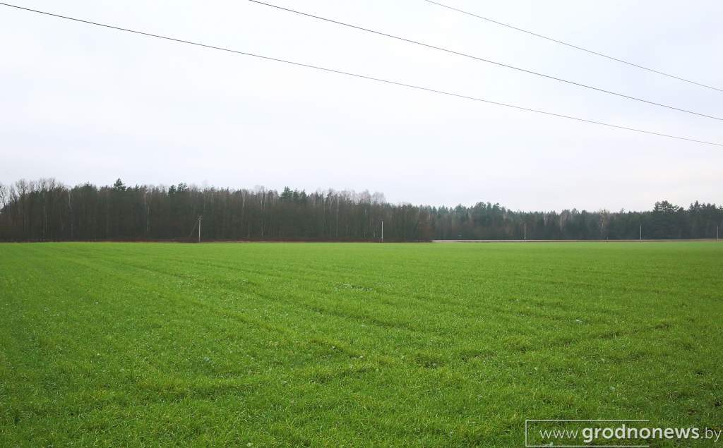 DPP_44859.JPG