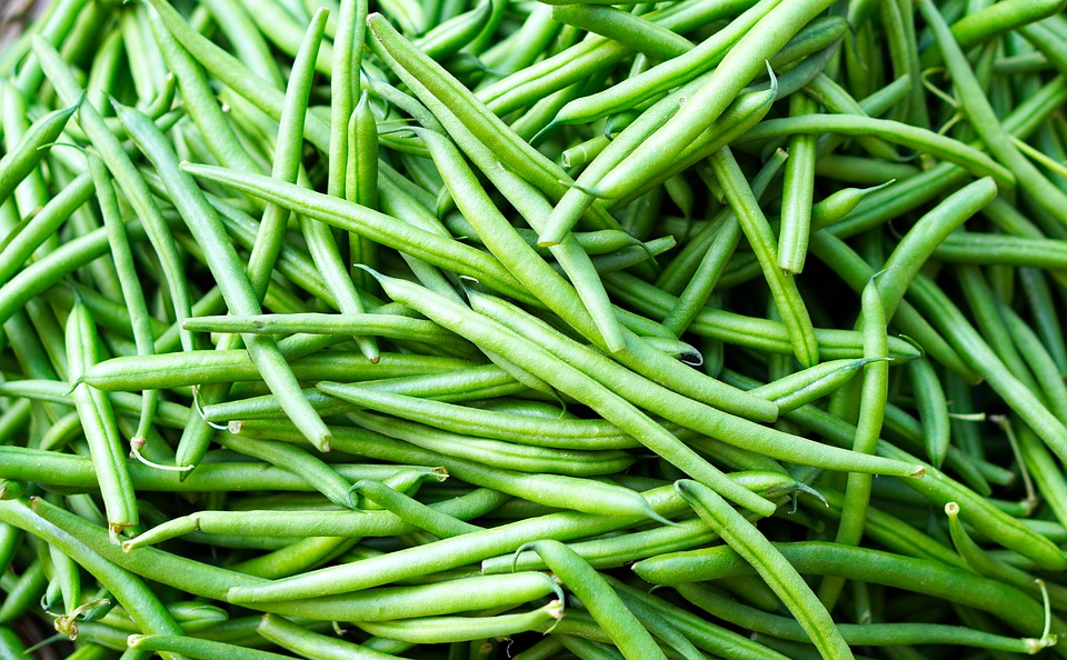 beans-4523422_960_720.jpg