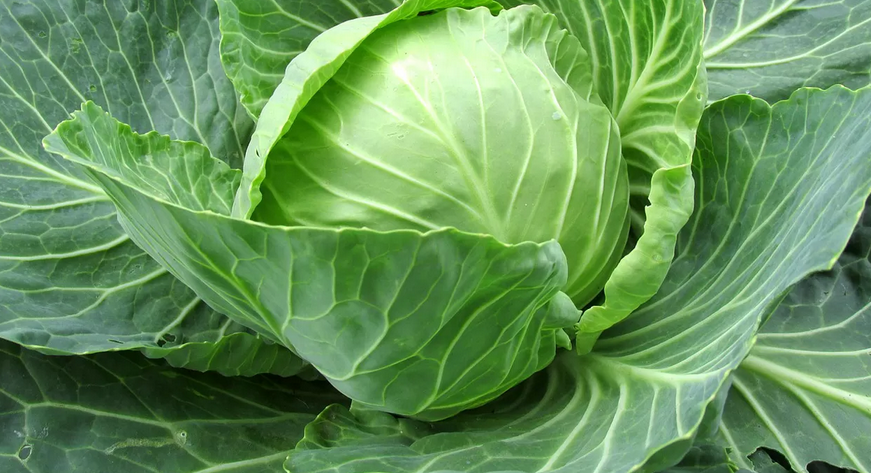 2.PNG