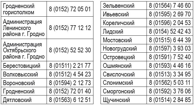 линии.JPG