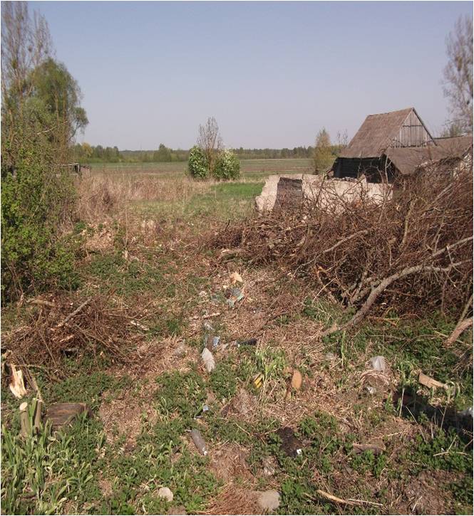 новогрудок1.jpg