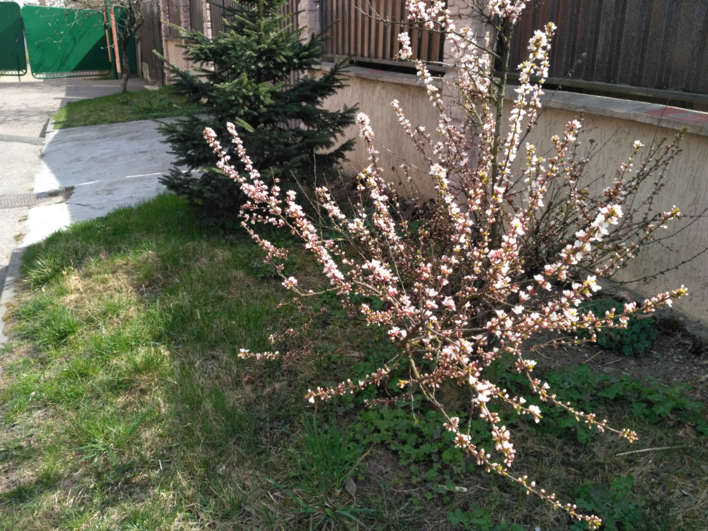 IMG_20190418_144039.jpg