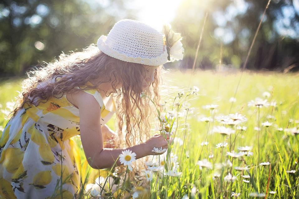 picking-flowers-2432972_960_720.jpg
