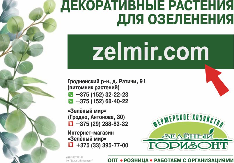 Зеленый мир_В_Внутрь.jpg