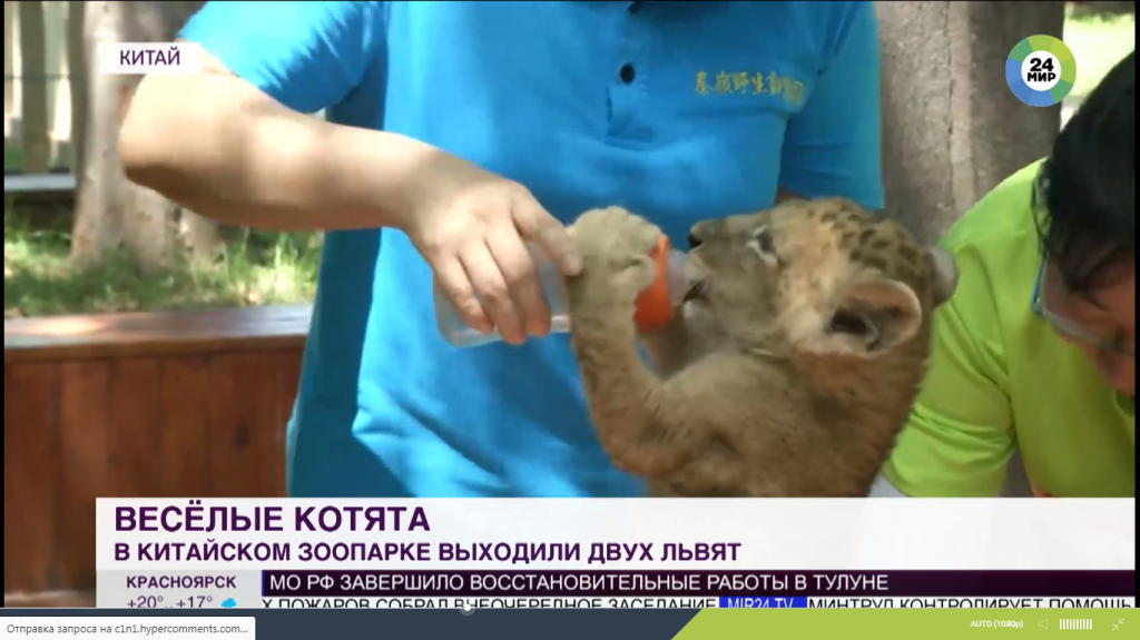 ыыц.png