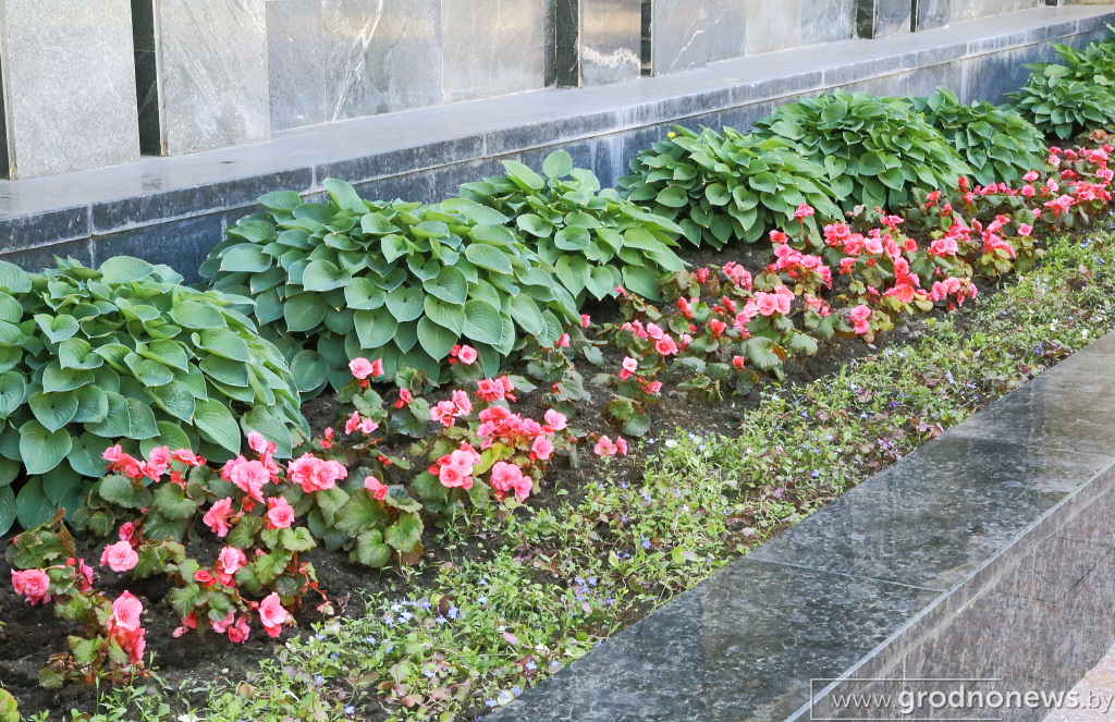 DPP_40229.JPG