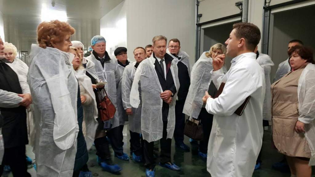 гриб.jpg