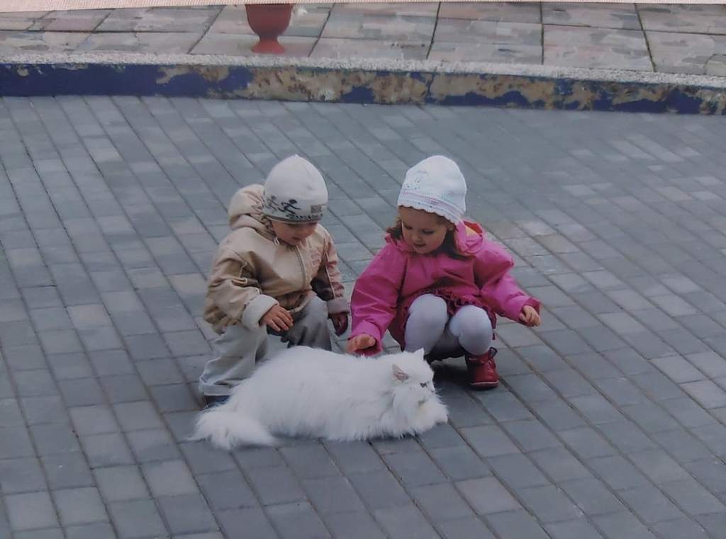 п (3).jpg