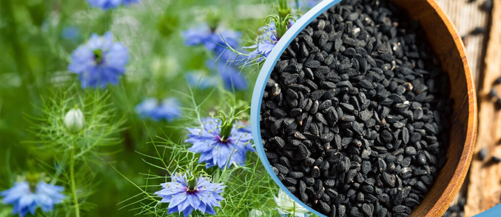 Черный тмин.jpg