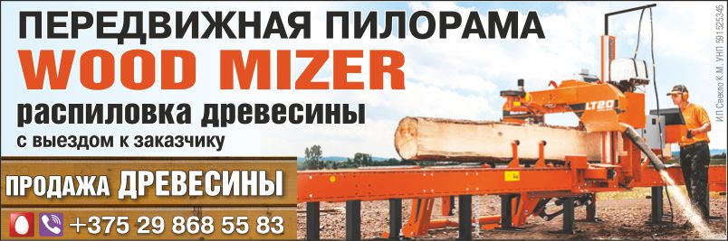 Свекло_Пилорама_Внутрь.jpg