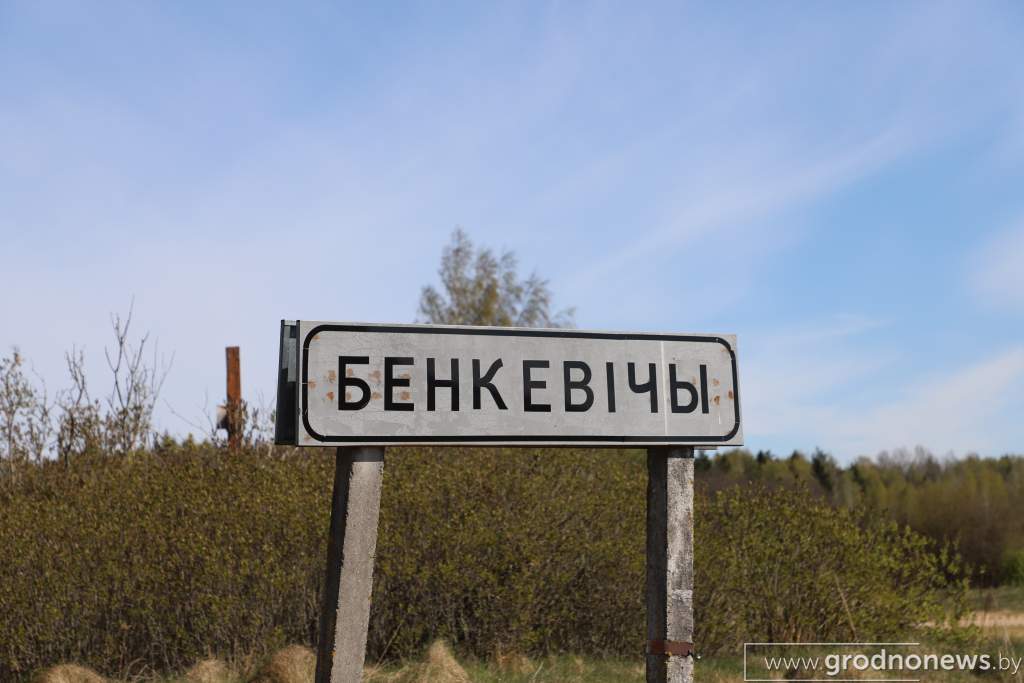 IMG_7344.JPG