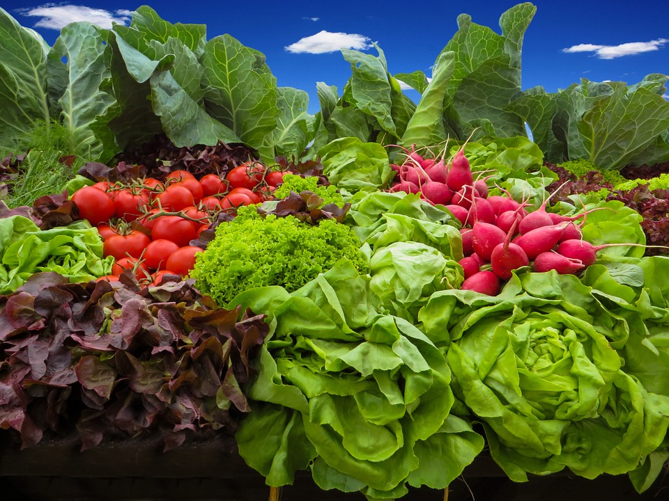 vegetables-905382_960_720.jpg
