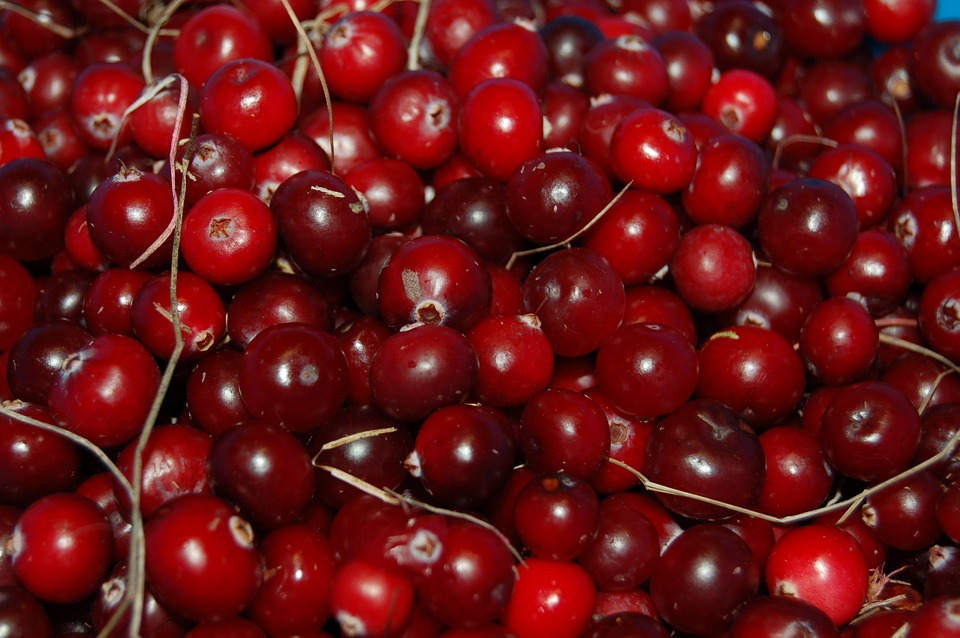 cranberries-1714174_960_720.jpg