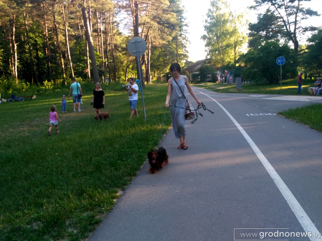 IMG_20190623_195019_HDR.jpg