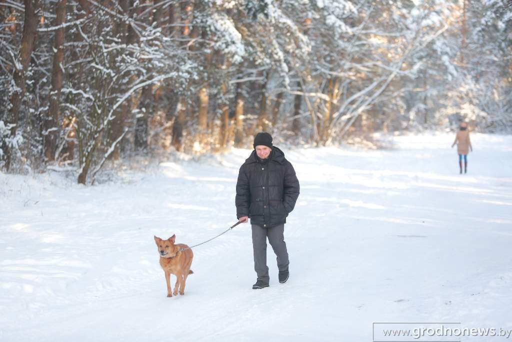 2021-01-17 15.24.56.JPG