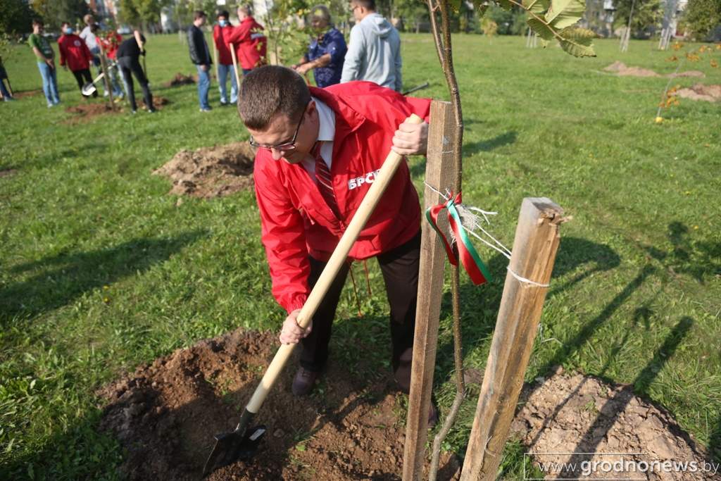 2020-09-24 11.19.07.JPG