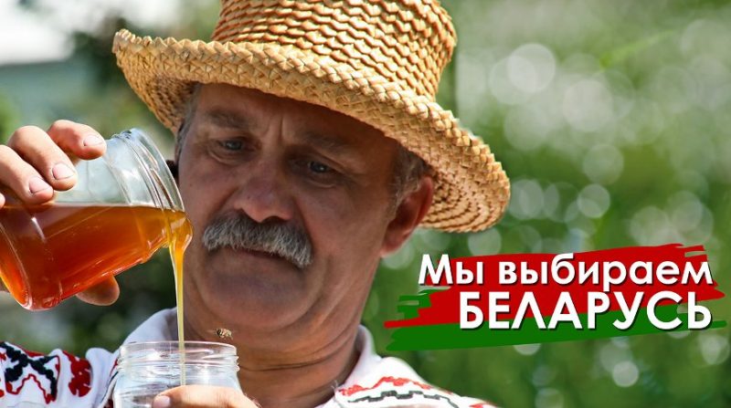 плакаты5-800x447.jpg