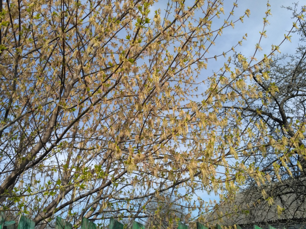 IMG_20190418_144450.jpg