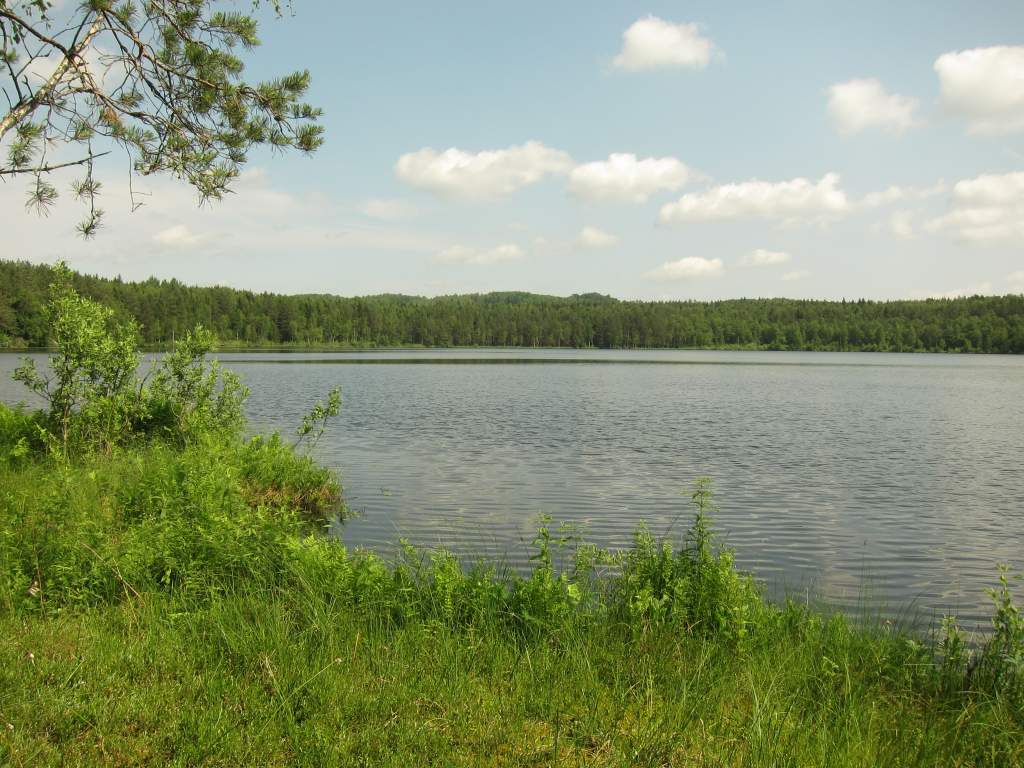IMG_3333.JPG