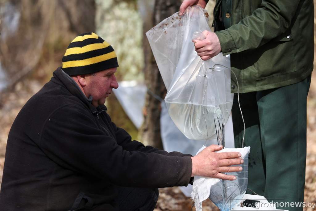 2021-03-29 10.46.30.JPG