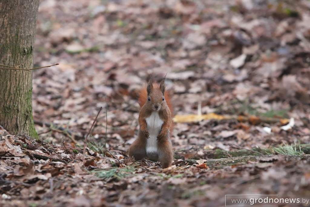 IMG_2887.JPG