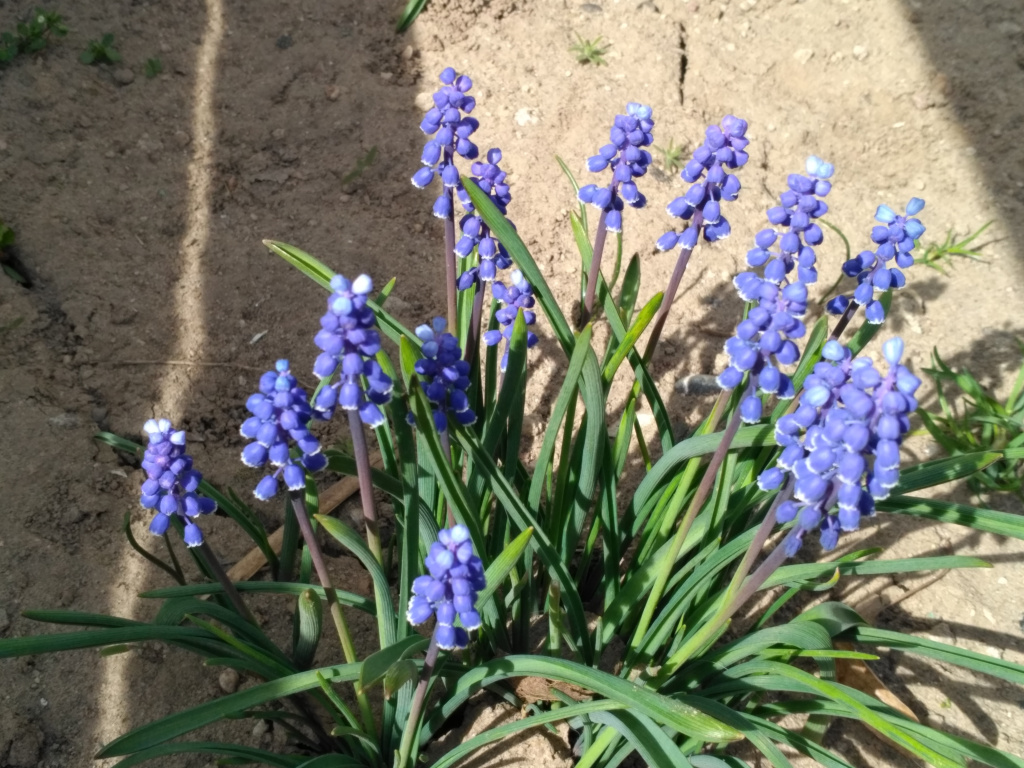 IMG_20190418_153344.jpg