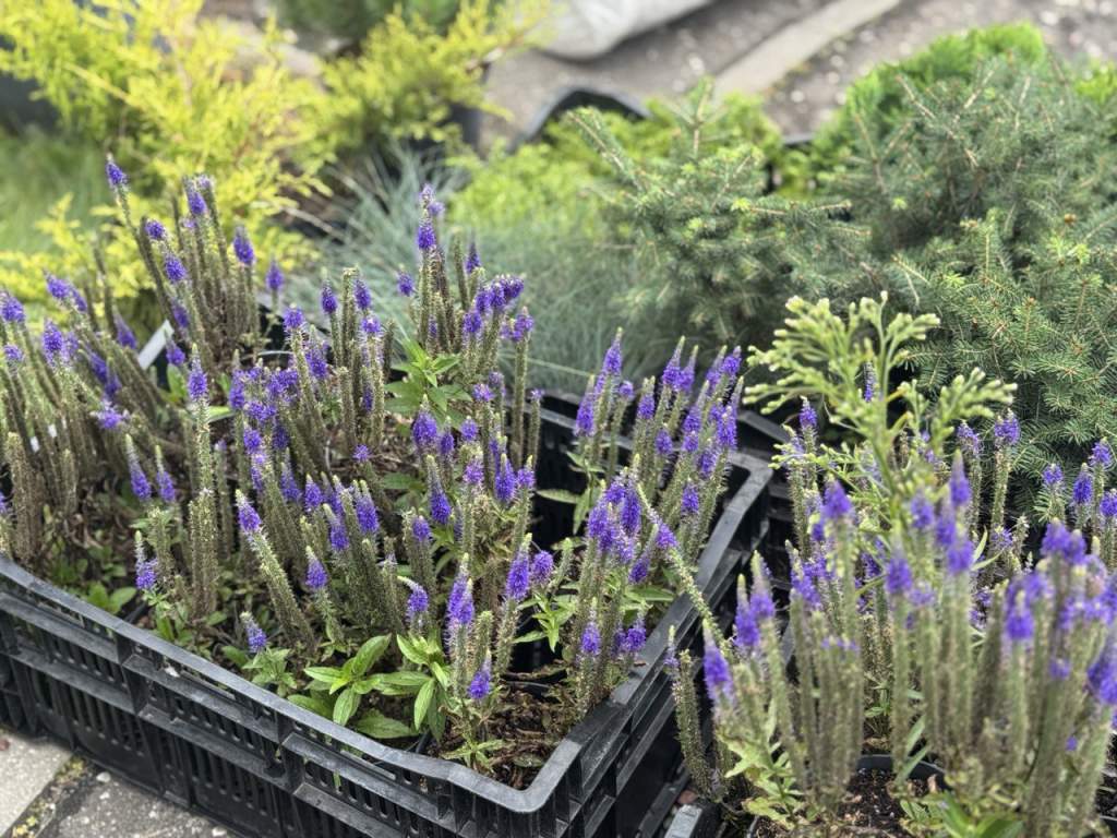 photo_2025-08-26_13-48-50 (3).jpg