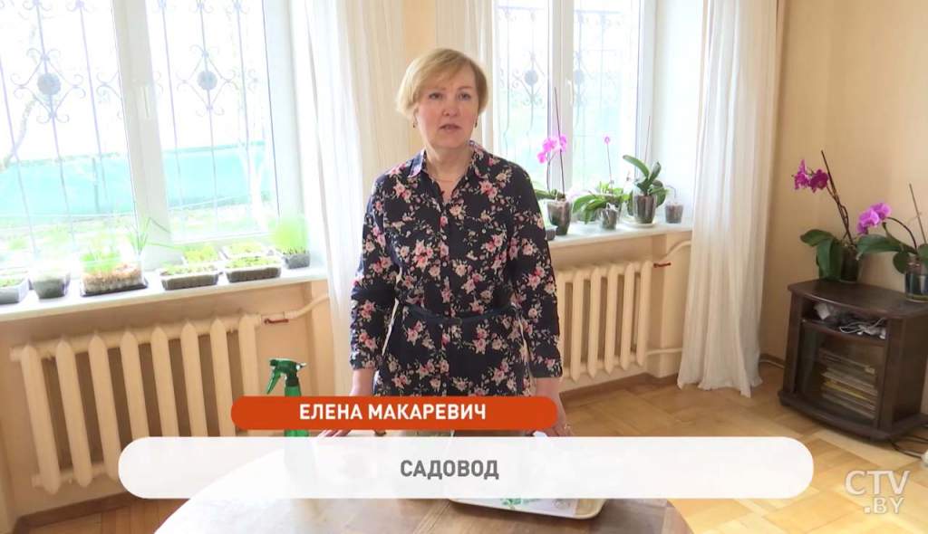 1а.jpg